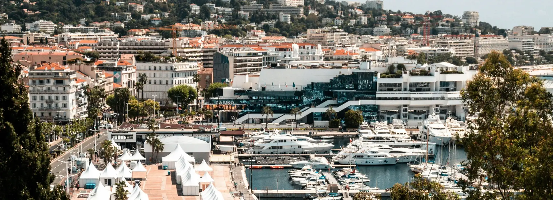 The Cannes marina photographed through greenery.